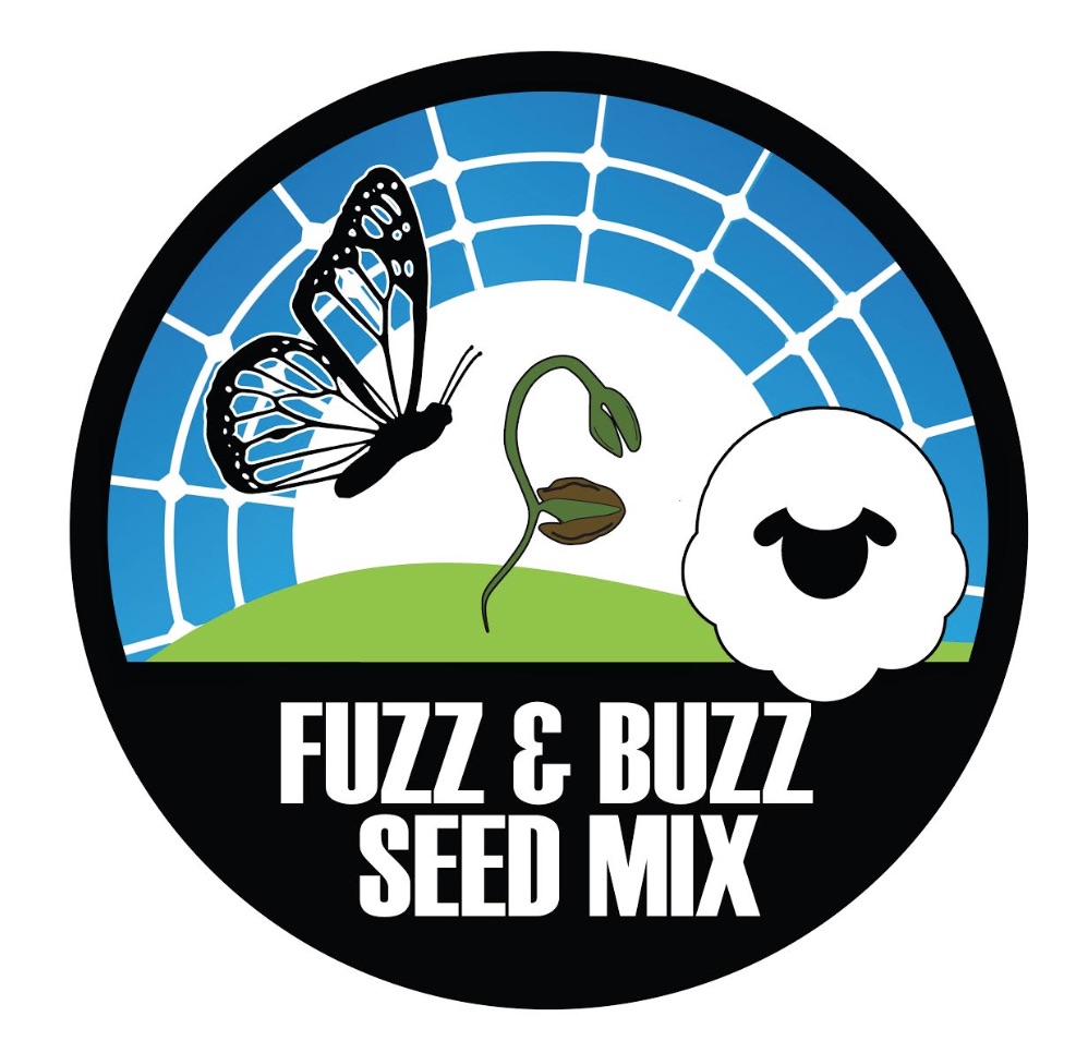 fuzz and buzz icon