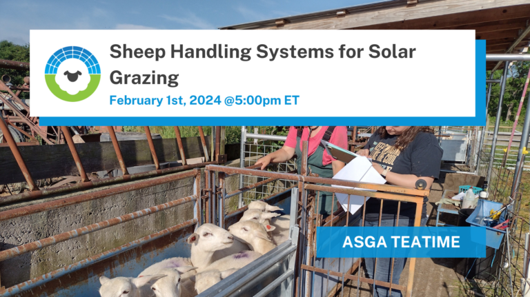 2024 02 Handling Systems Teatime1