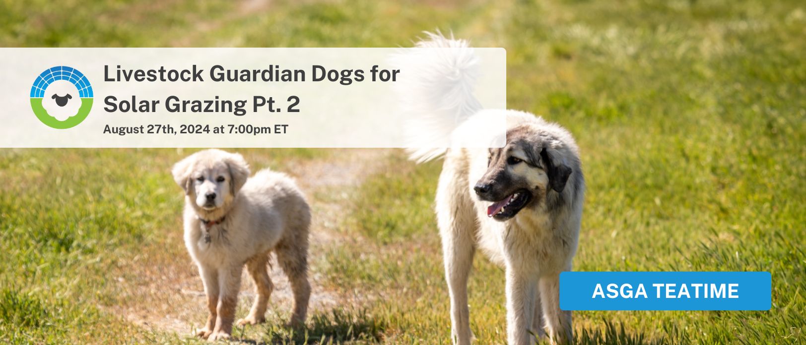 Image result for Livestock Guardian Dogs for Solar Grazing: Feeding and Feeding Stations ...