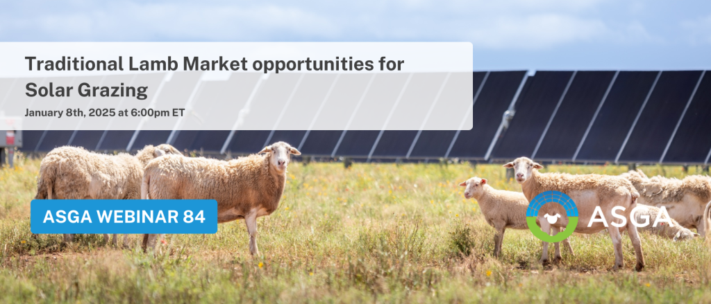 2025 01 Traditional lamb Market1