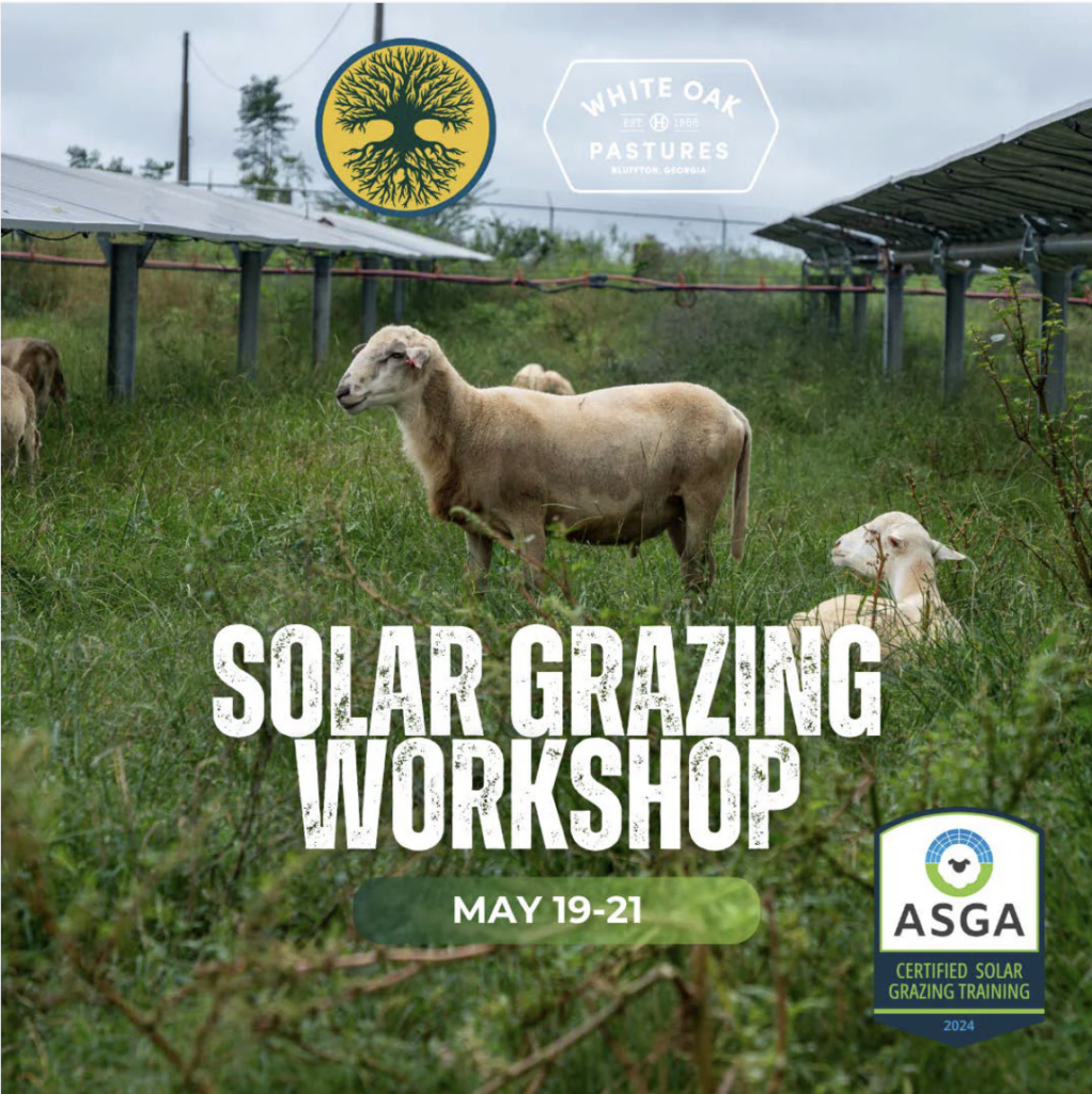 CleanShot 2024 12 17 at 12.04.47@2x