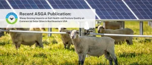 Contingency Teatime 1