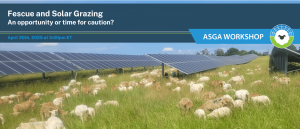 2GbsmVLfKdKSPnBh8MvGXt