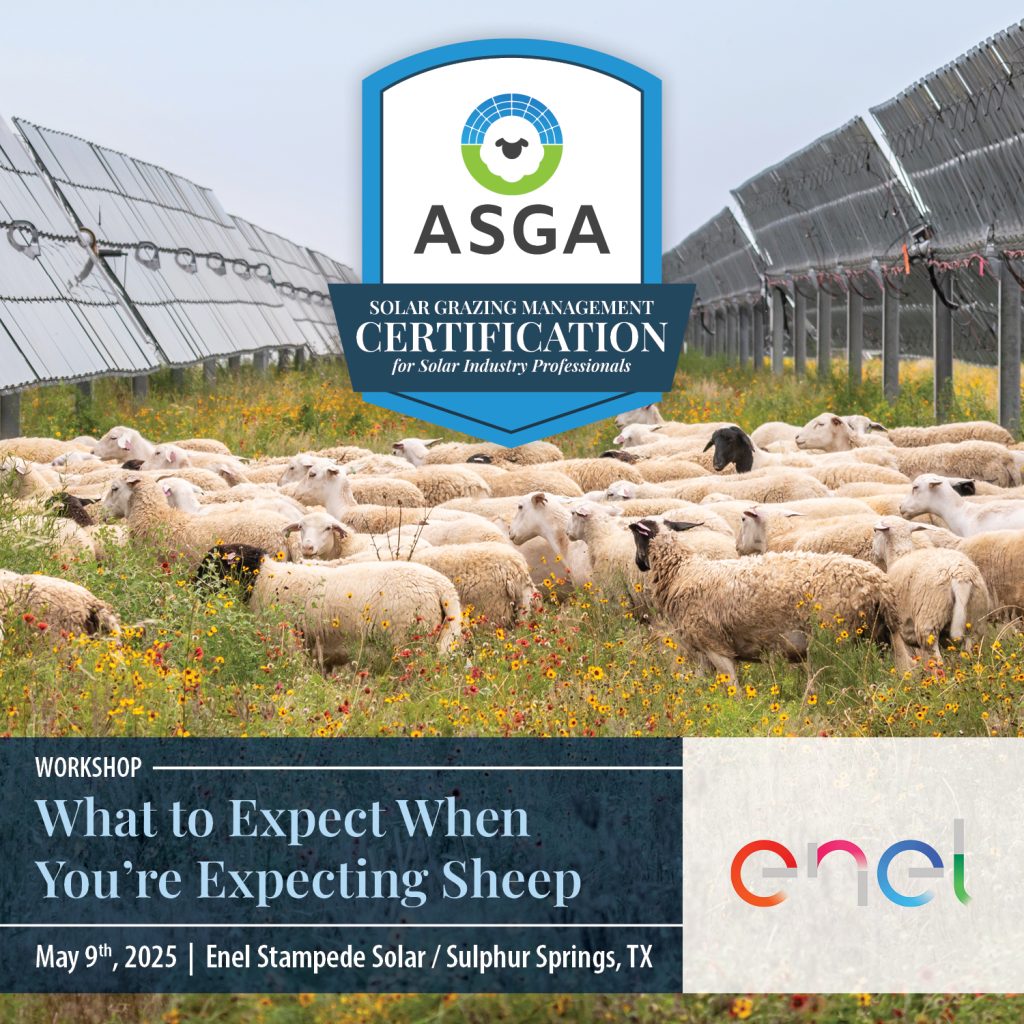 ASGA GrazingCert IndustryProfessional