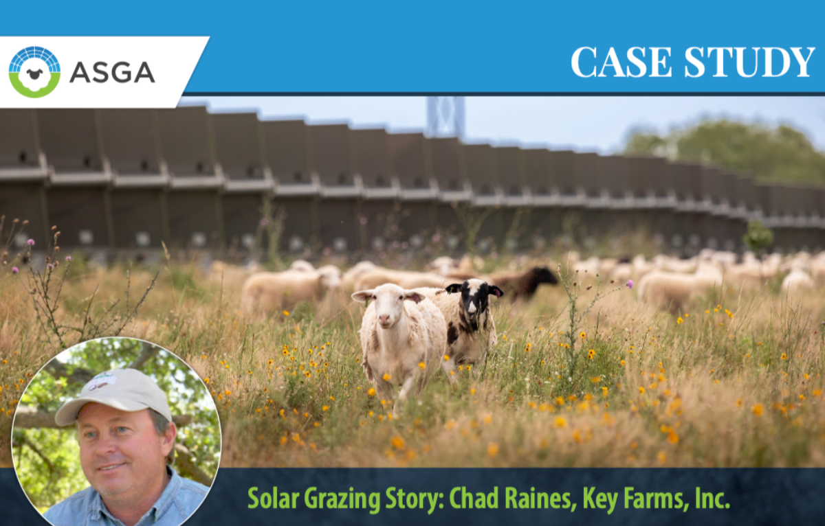 Chad Raines Case Study 1