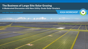 2024 05 business of large site solar grazing