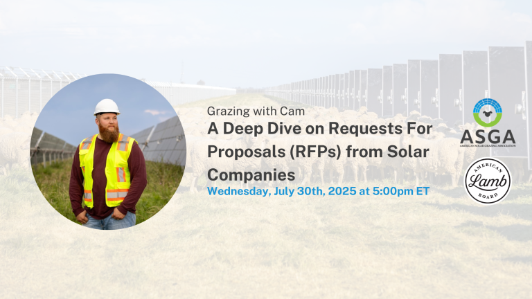 2025 07 RFPs
