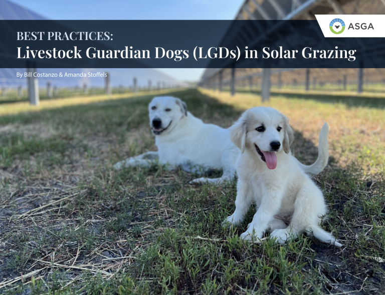 ASGA FactSheet Best Practices Livestock Guardian Dogs in Solar Grazing