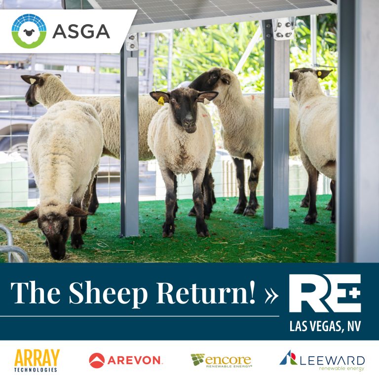 ASGA InstagramPost 2025 REteaser1 1