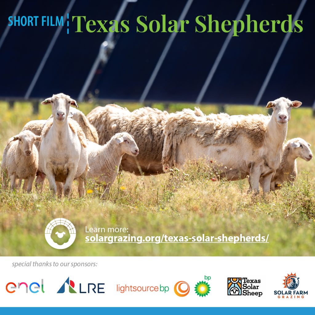 ASGA TexasSolarShepherd Film