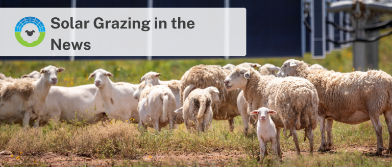 Solar Grazing in the News