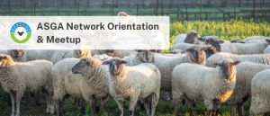 network orientation and meetup 1