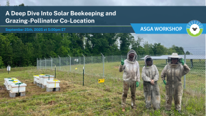 2025 09 apiaries and graziing 1