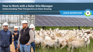 2025 10 solar site manager