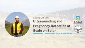 2025 10 utlrasound and pregnancy detection