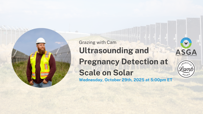 2025 10 utlrasound and pregnancy detection