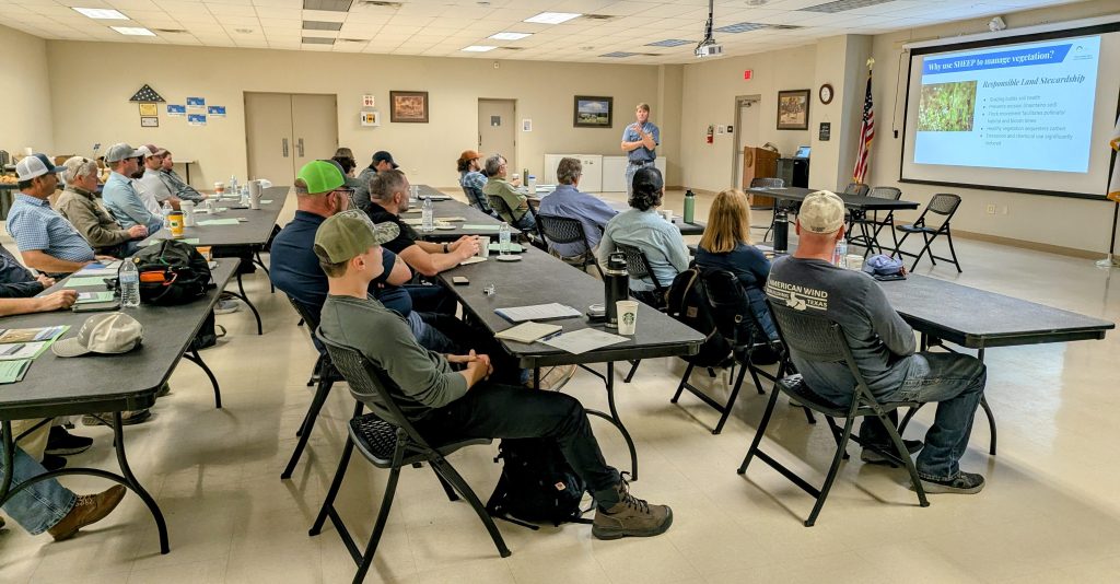 PXL 20251023 133548085 EDIT