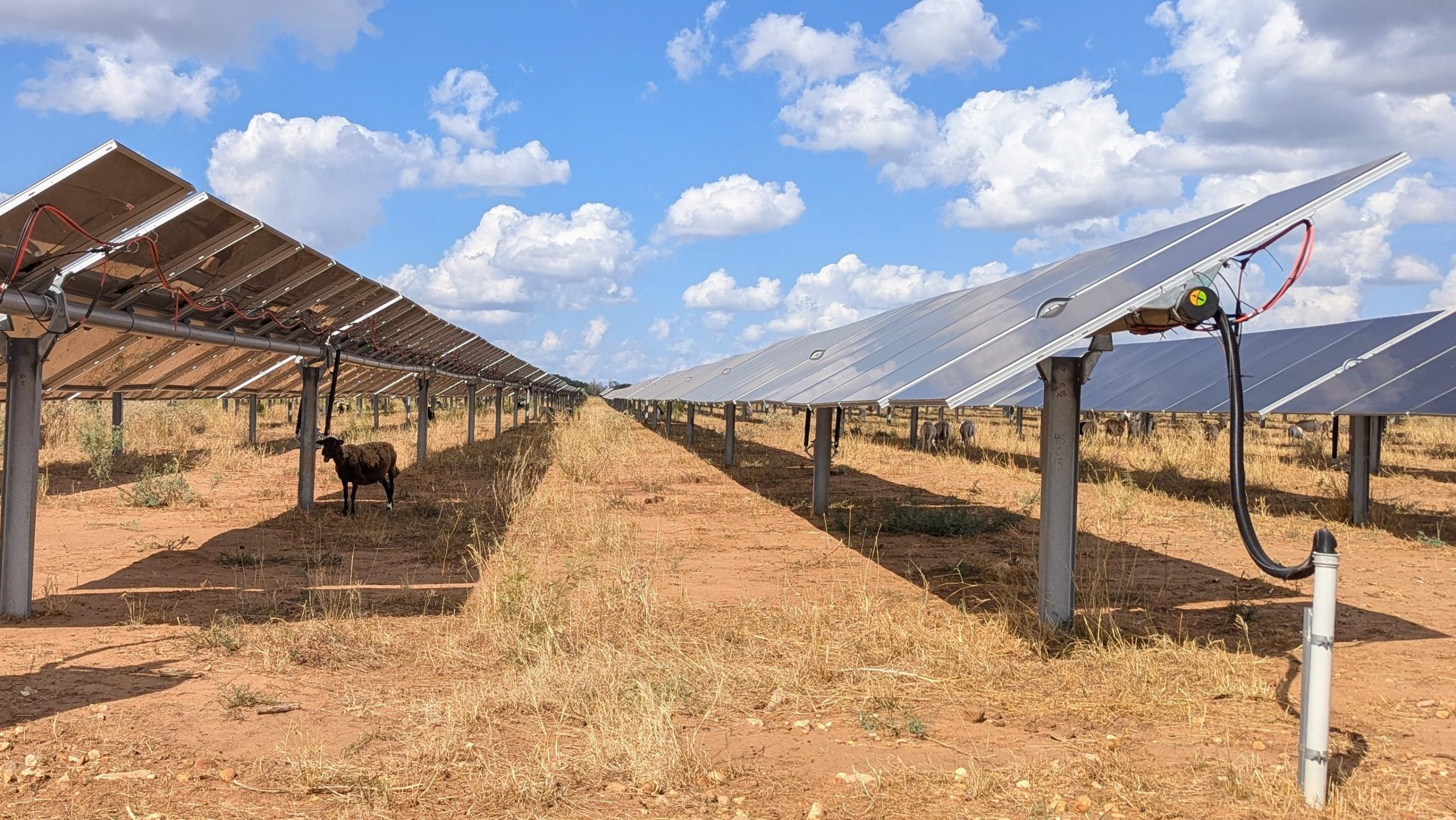 PXL 20251023 195833028.MP edited scaled