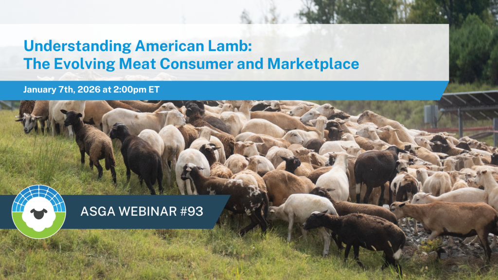 2026 1 Call 93 Lamb Demand