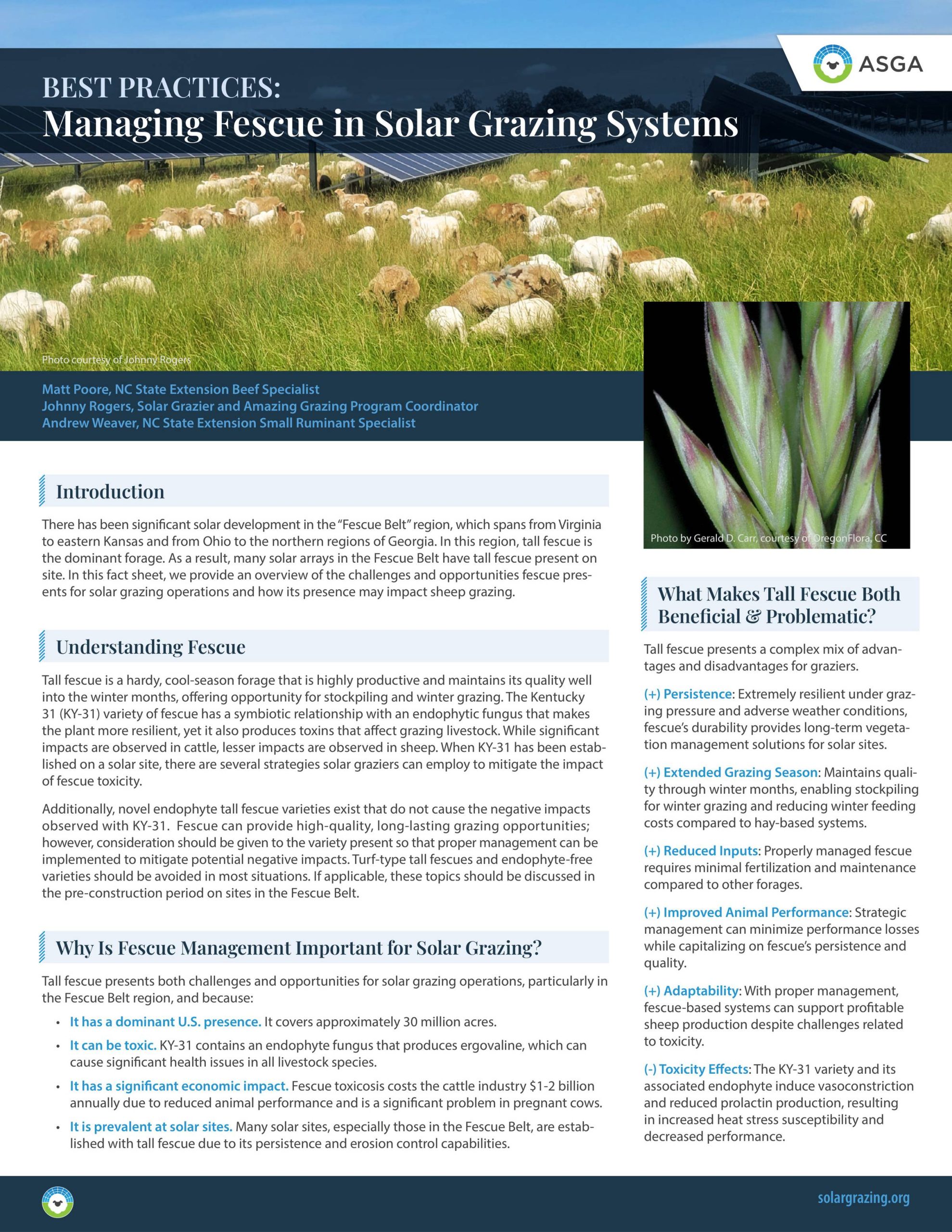 3zbEes68ruRDMACpoXoFDf scaled