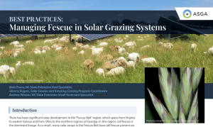 ASGA FactSheet Fescue Photo