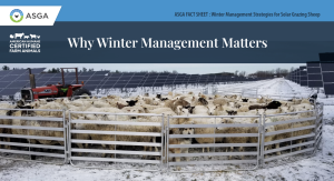 Winter Management