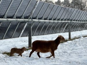 efPzknZNxVsHtxAf2mdUkt