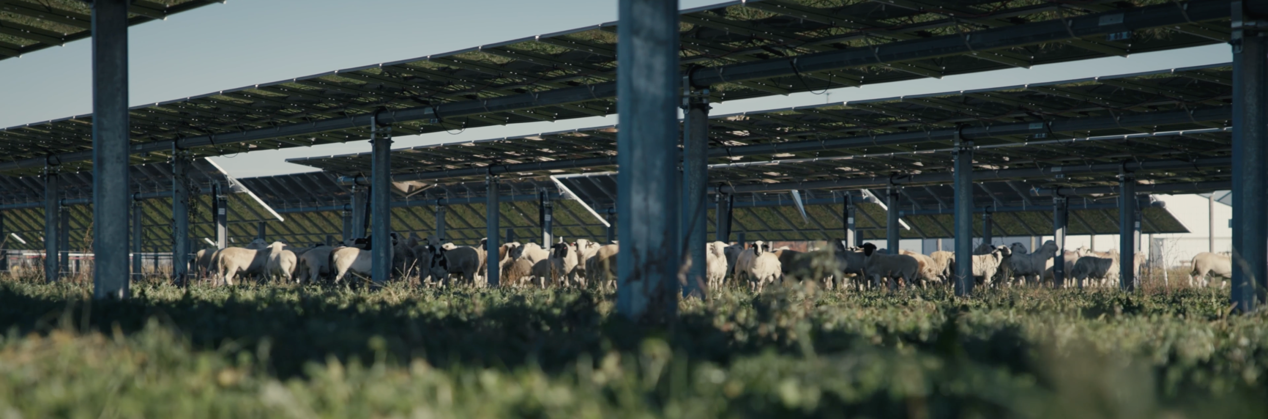 CleanShot 2026 02 26 at 21.50.01@2x scaled