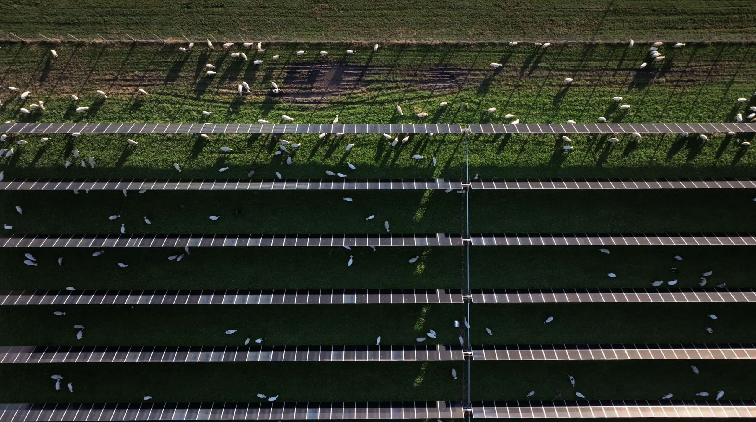 CleanShot 2026 02 26 at 21.53.14@2x 1 scaled