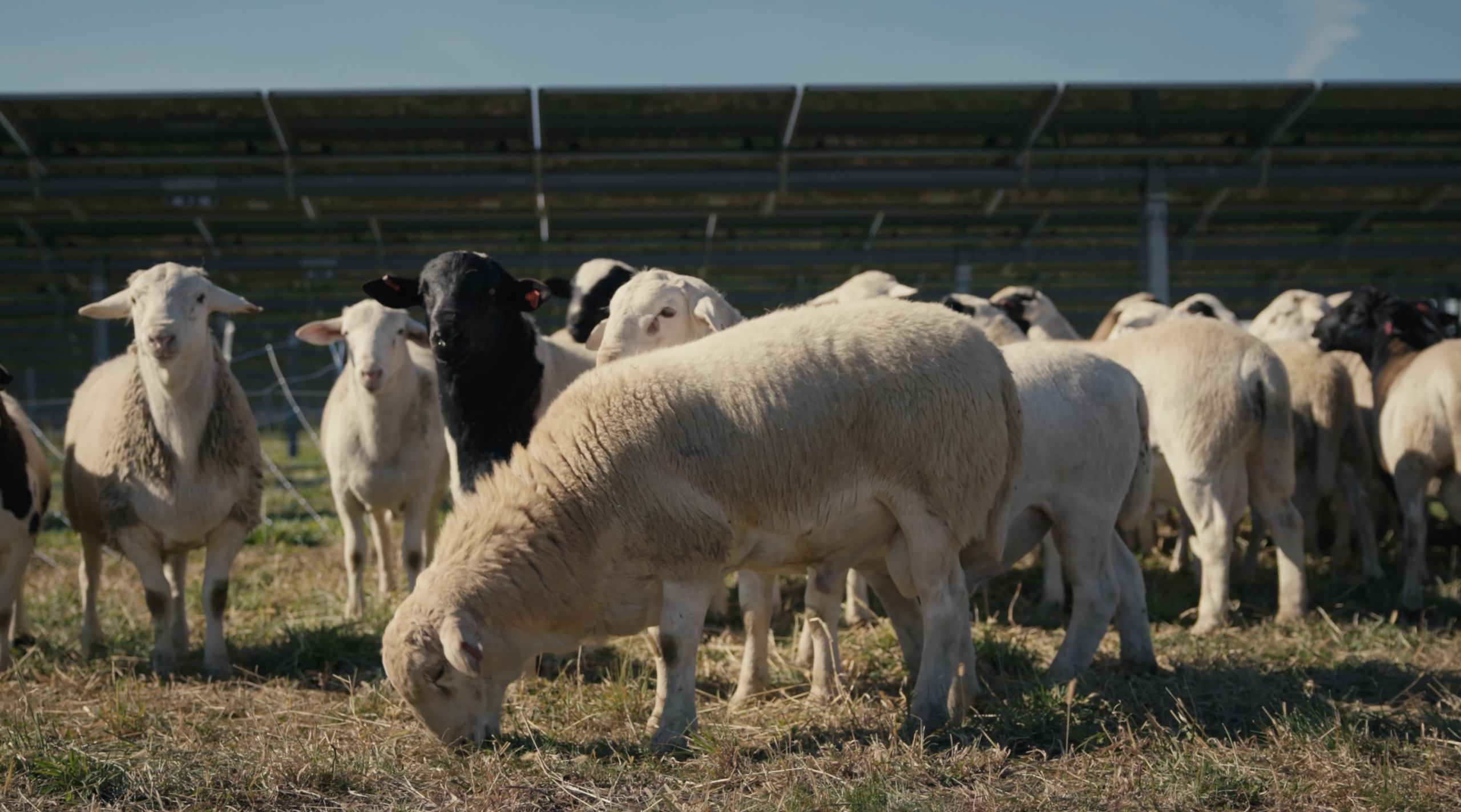 CleanShot 2026 02 26 at 21.56.34@2x 1 scaled