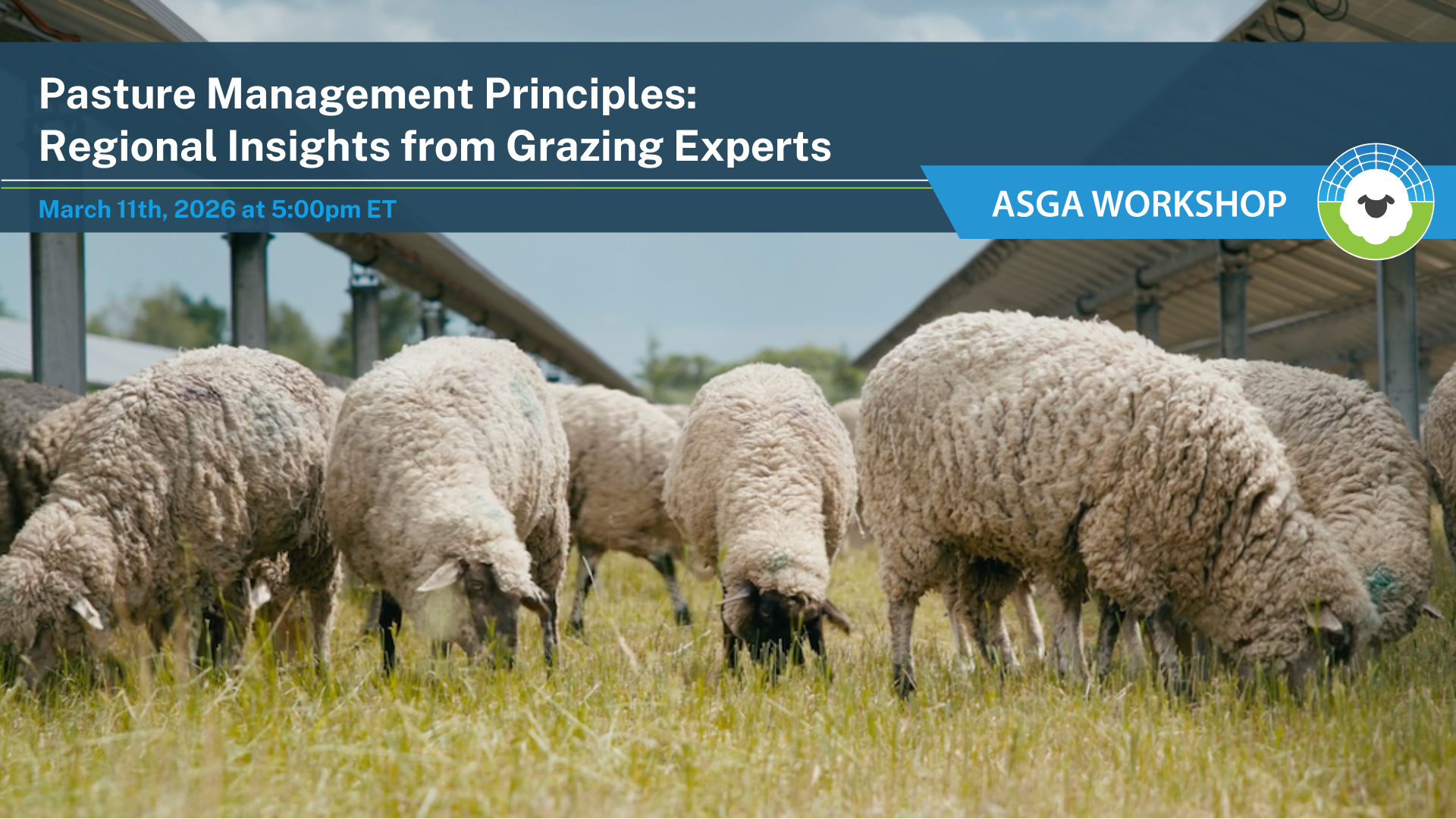 2026 03 Pasure Management
