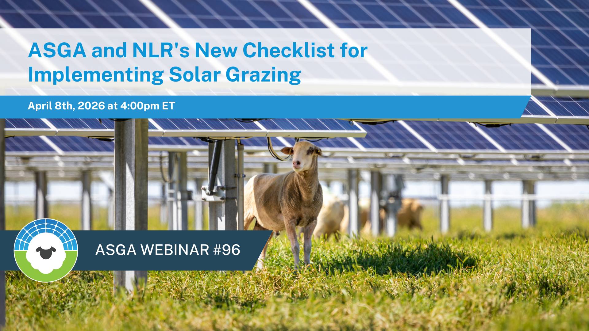 5DFEnFiGYsrFm6sbho1qs2