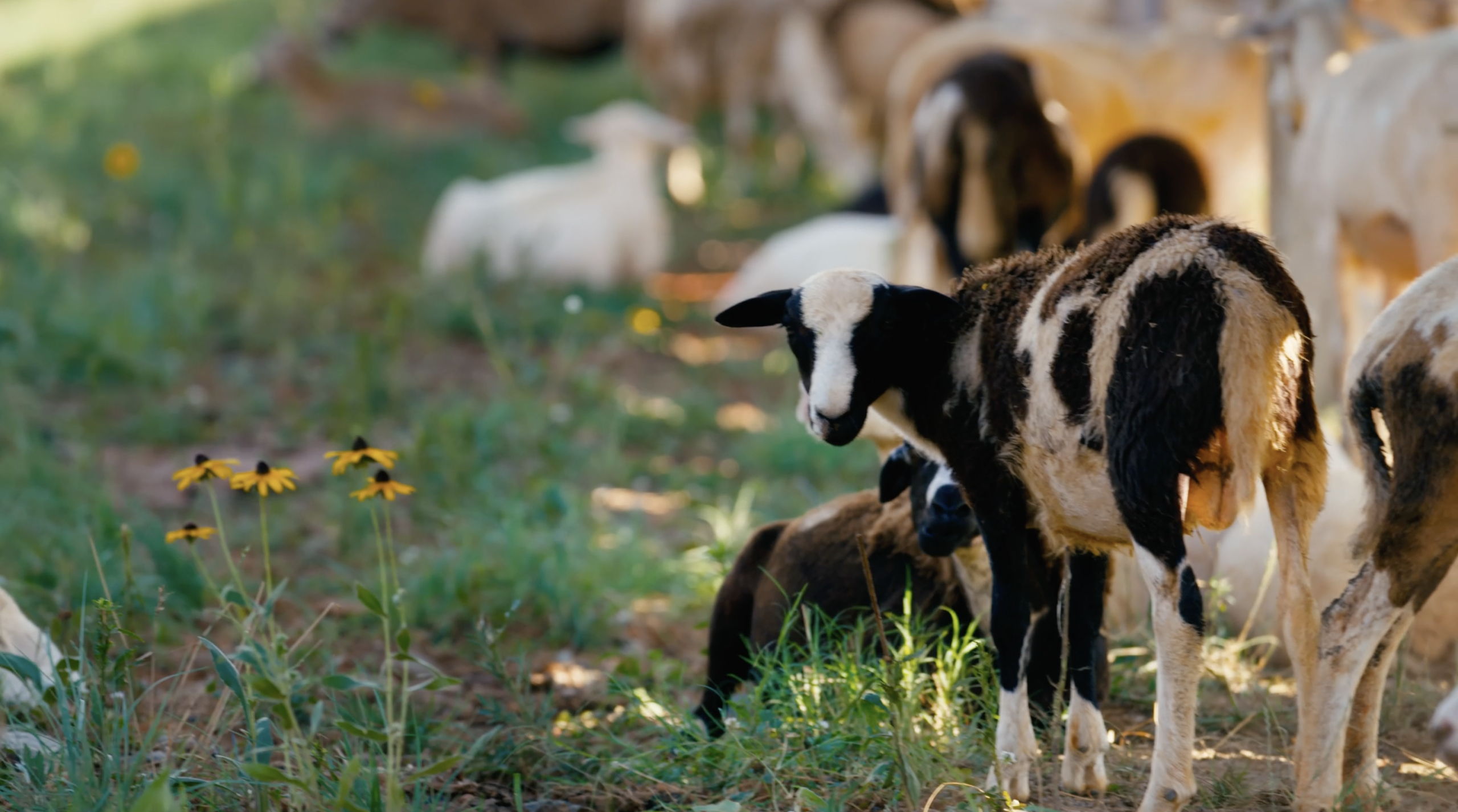 CleanShot 2026 03 17 at 11.53.44@2x 1 scaled