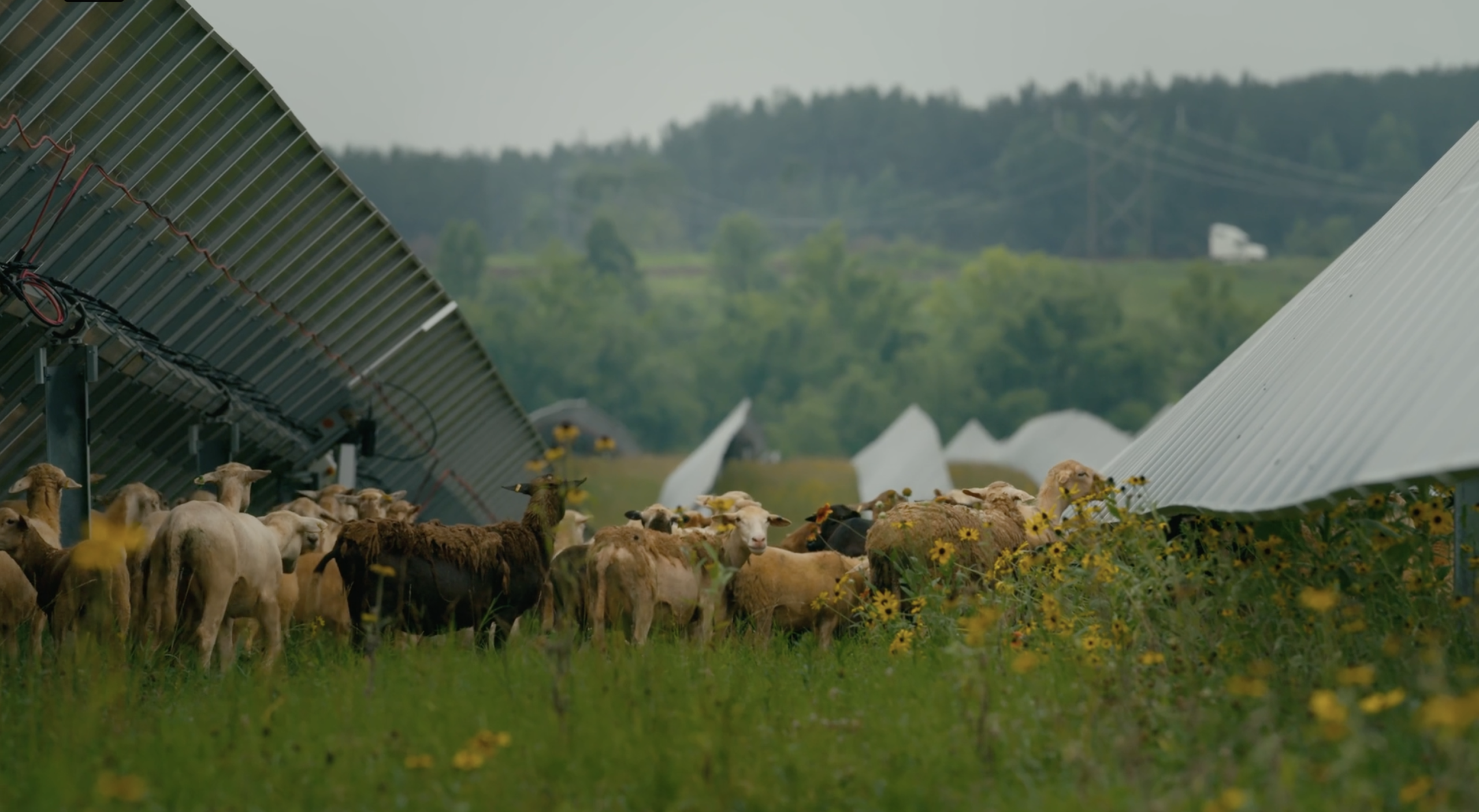 CleanShot 2026 03 17 at 12.09.39@2x scaled