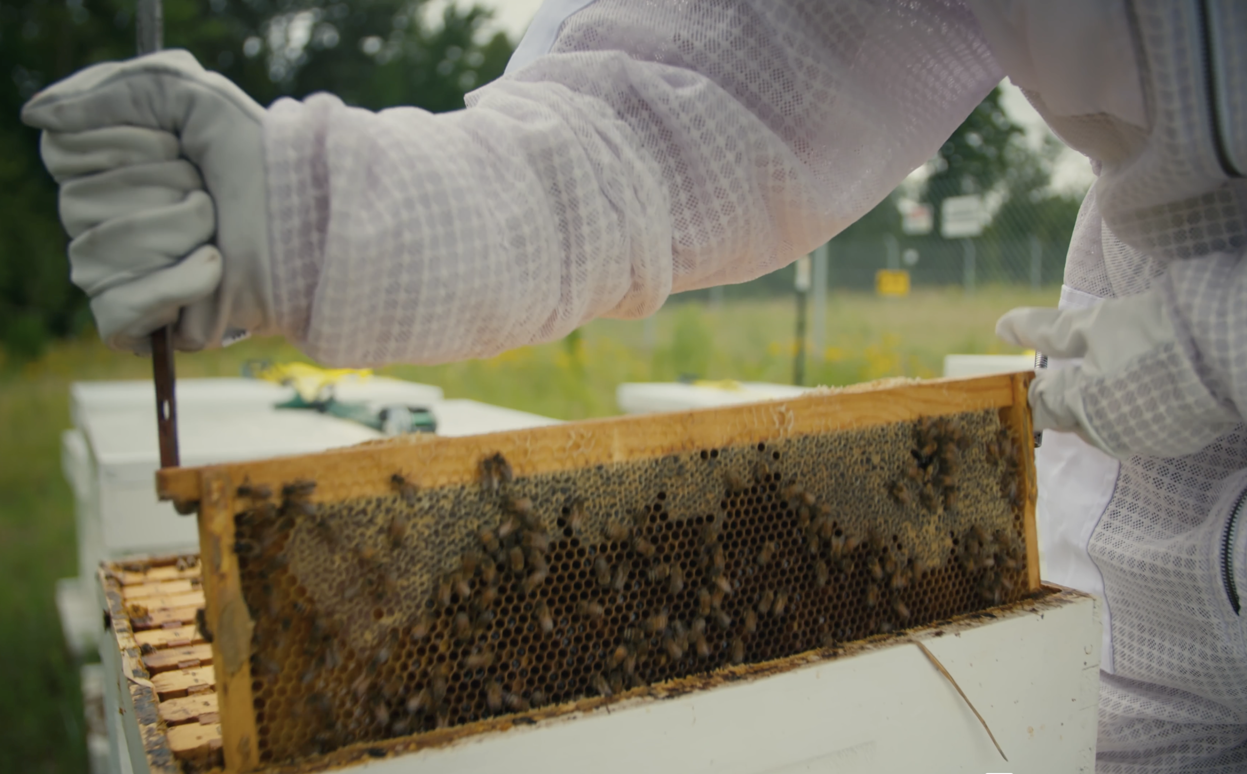 CleanShot 2026 03 17 at 12.54.45@2x scaled