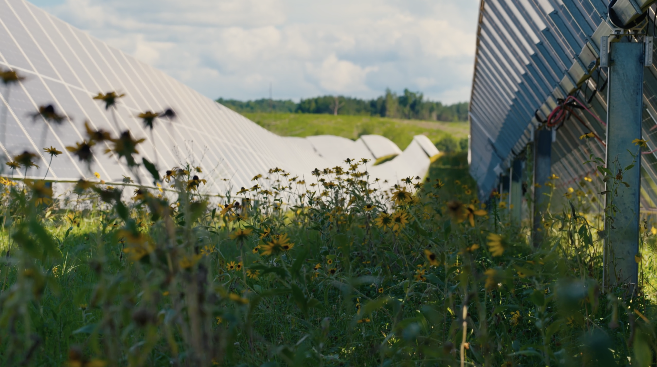 CleanShot 2026 03 17 at 22.01.21@2x 1 scaled