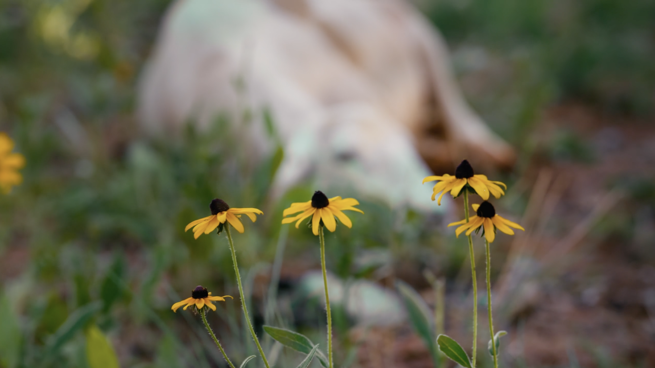 CleanShot 2026 03 17 at 22.24.24@2x scaled