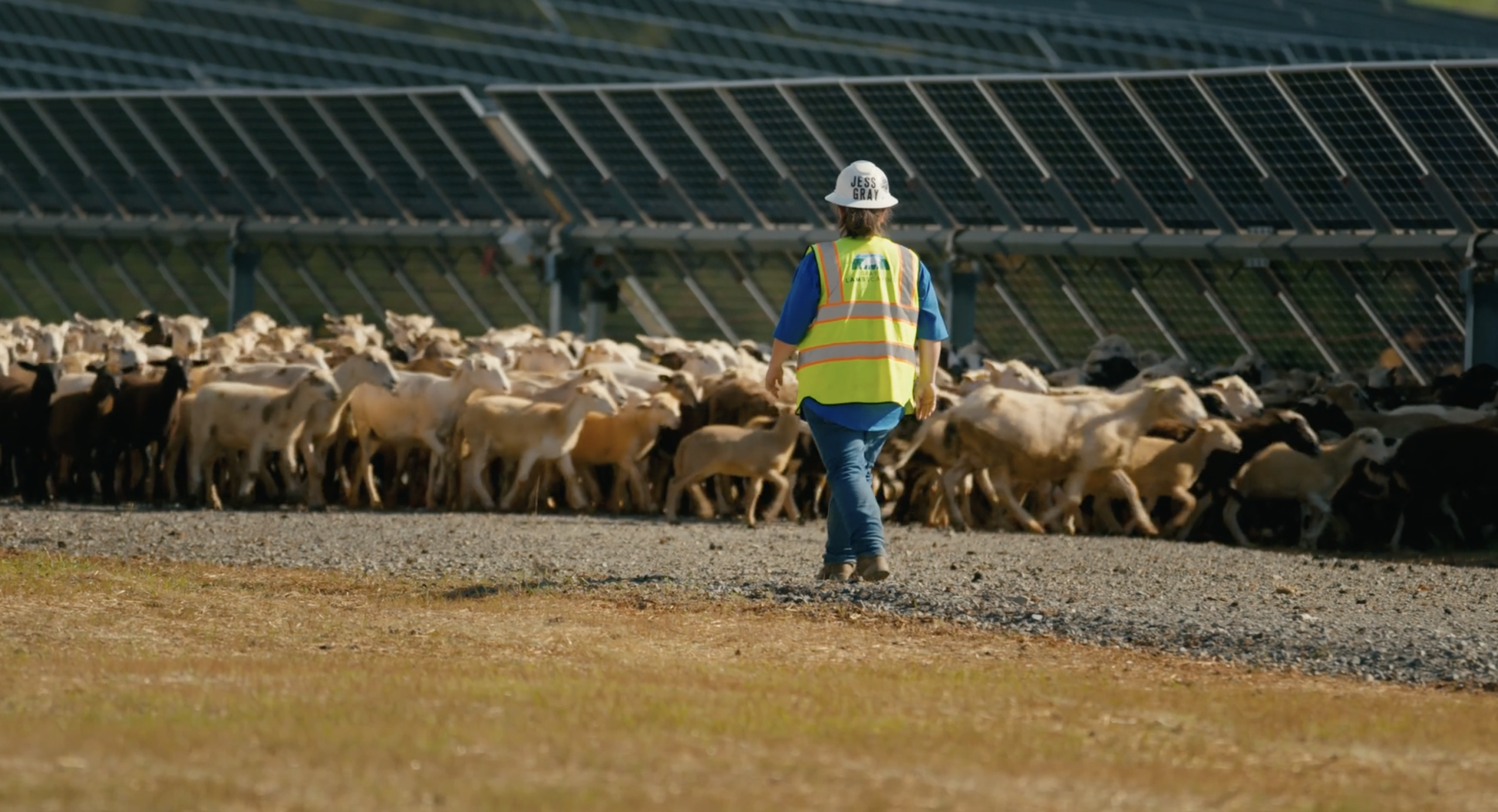 CleanShot 2026 03 17 at 22.27.45@2x scaled