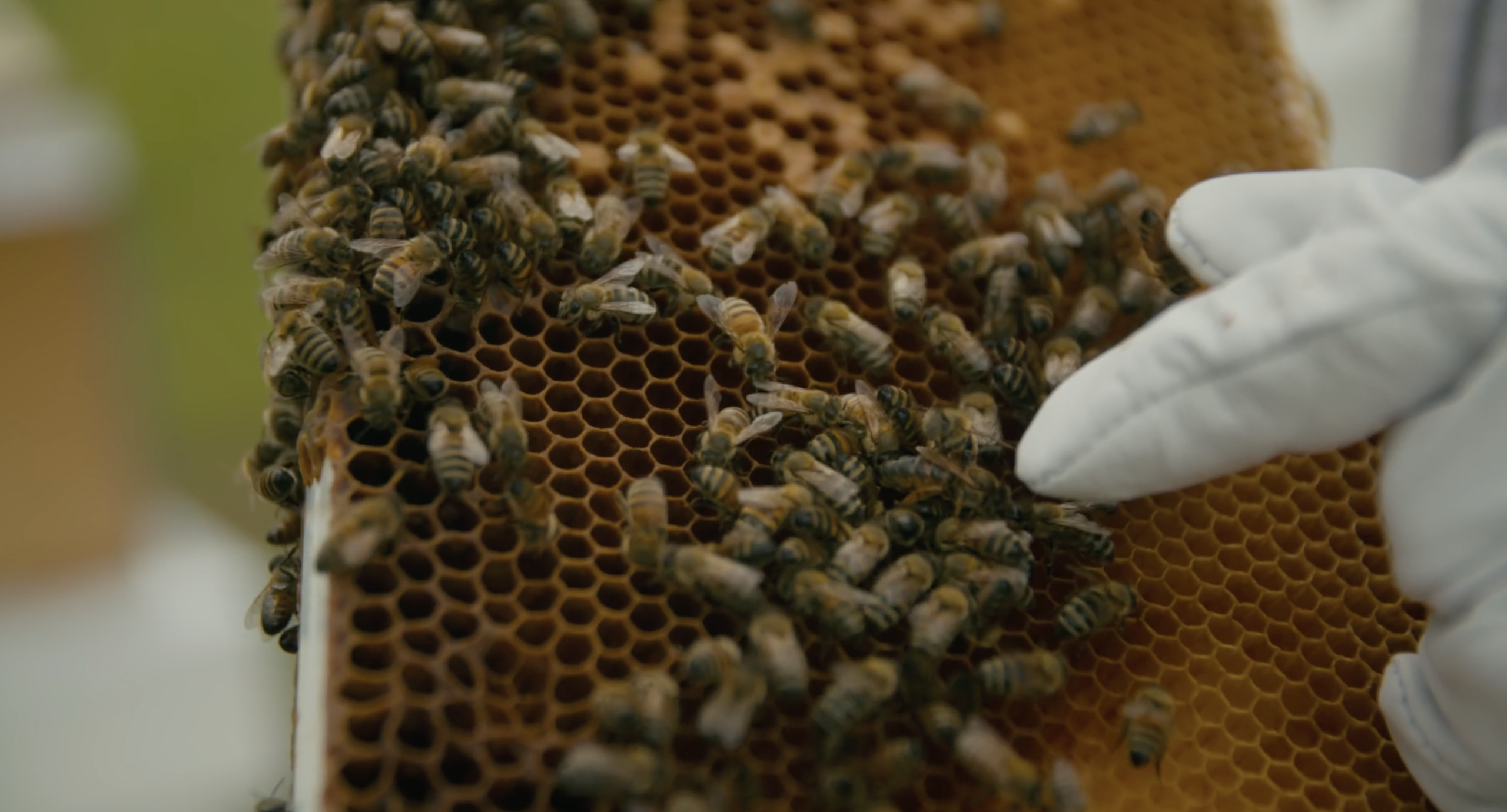 CleanShot 2026 03 17 at 22.28.11@2x scaled