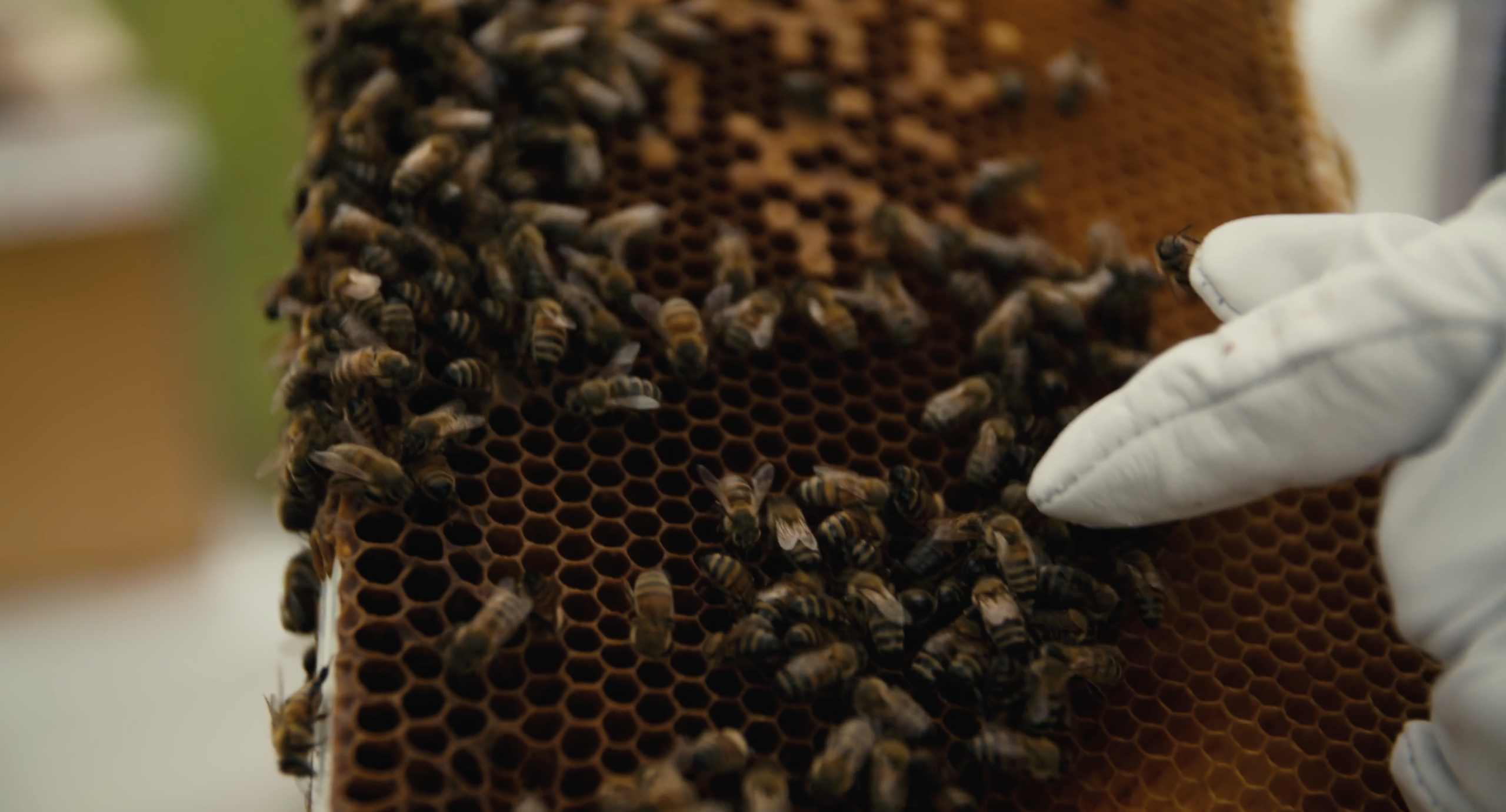 CleanShot 2026 04 21 at 11.41.12@2x scaled