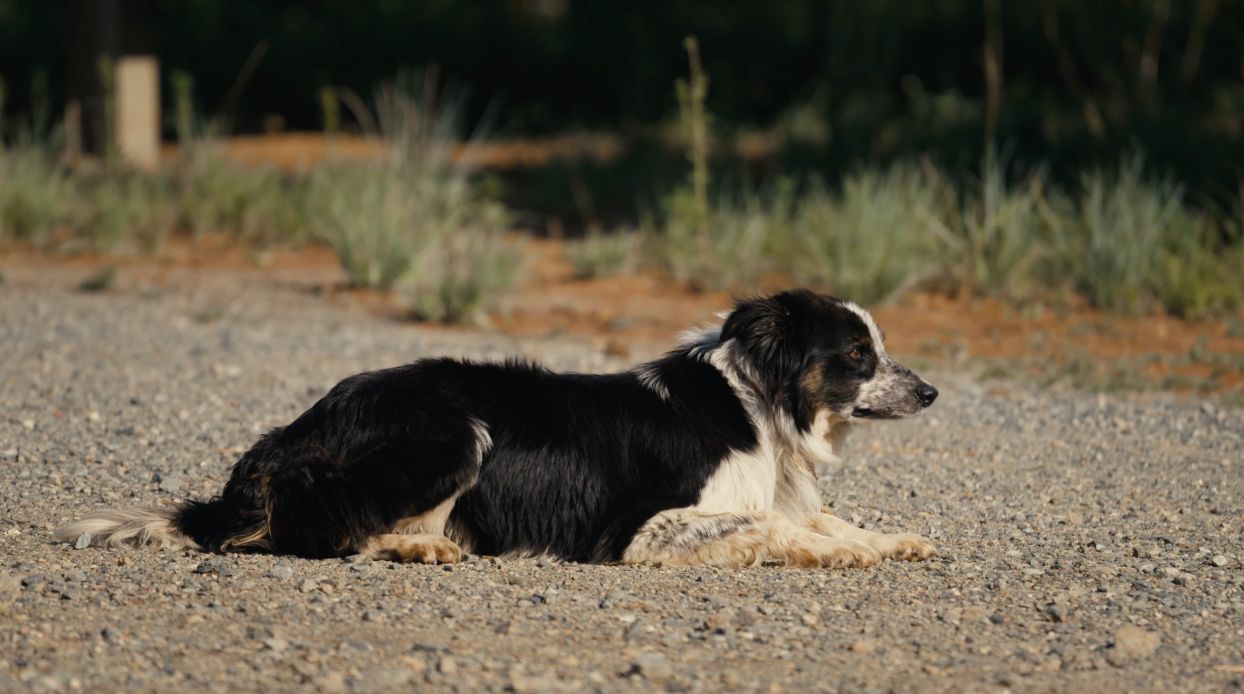 CleanShot 2026 04 21 at 11.42.44@2x scaled