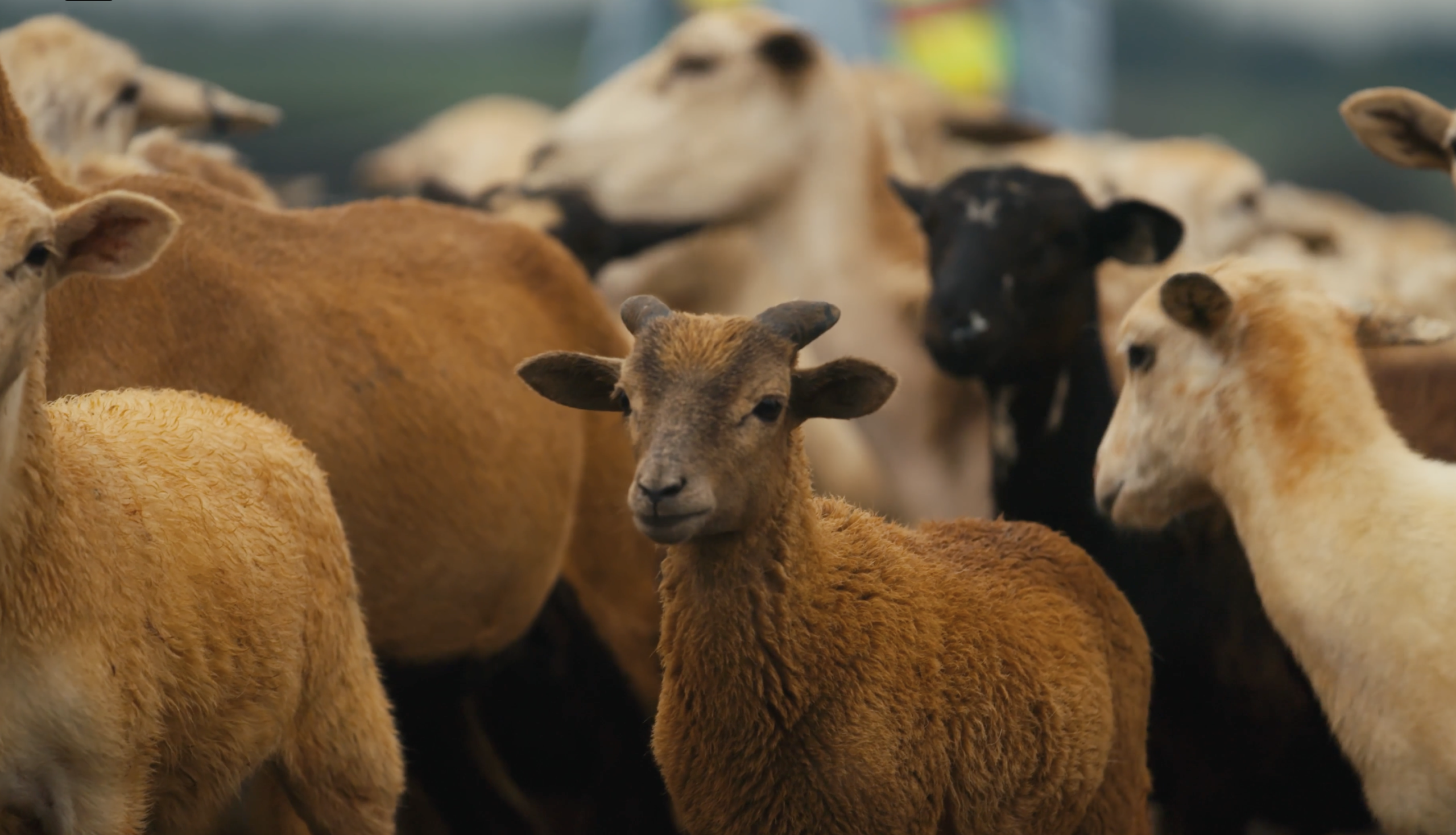 CleanShot 2026 04 21 at 14.06.48@2x scaled