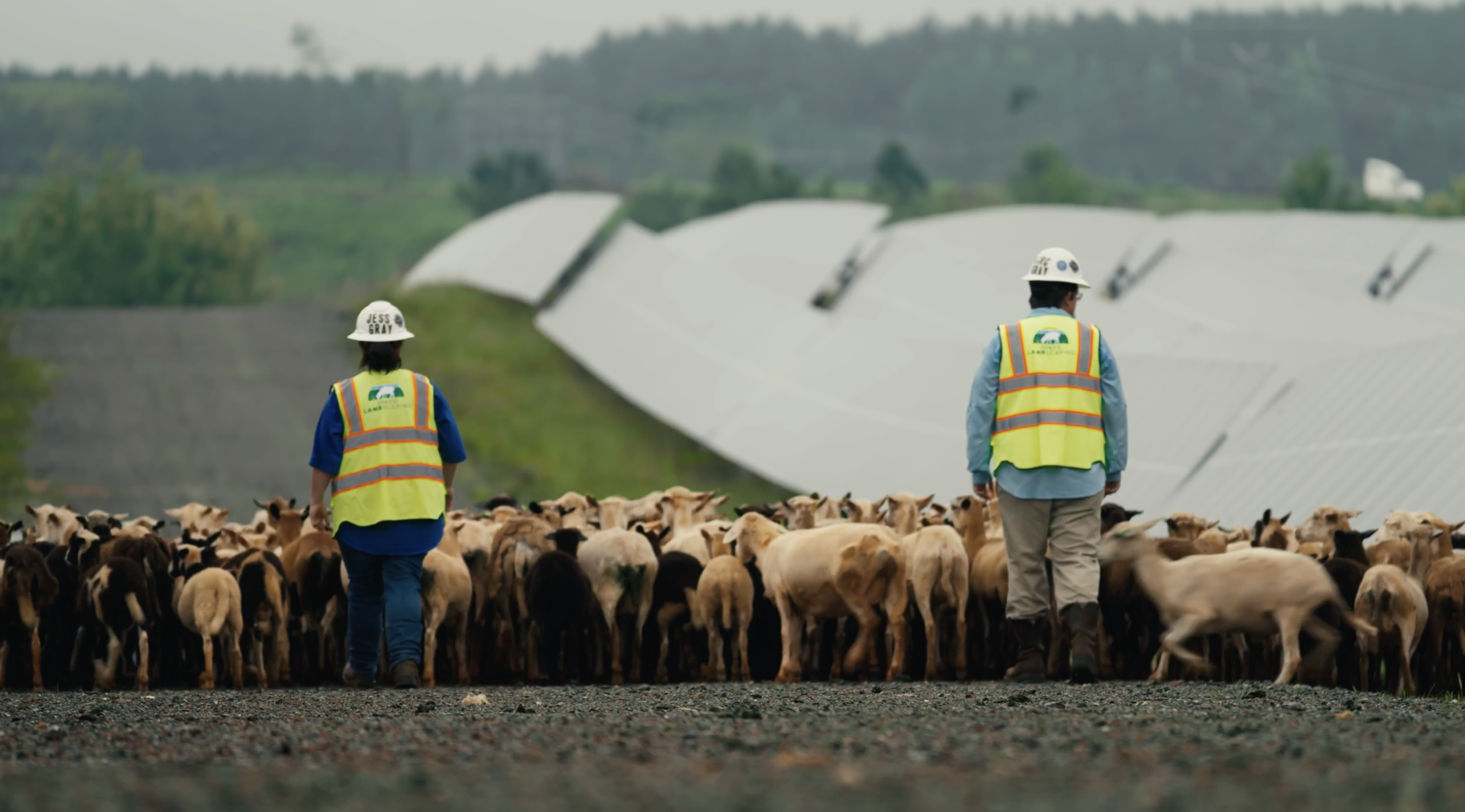 CleanShot 2026 04 21 at 14.07.25@2x scaled