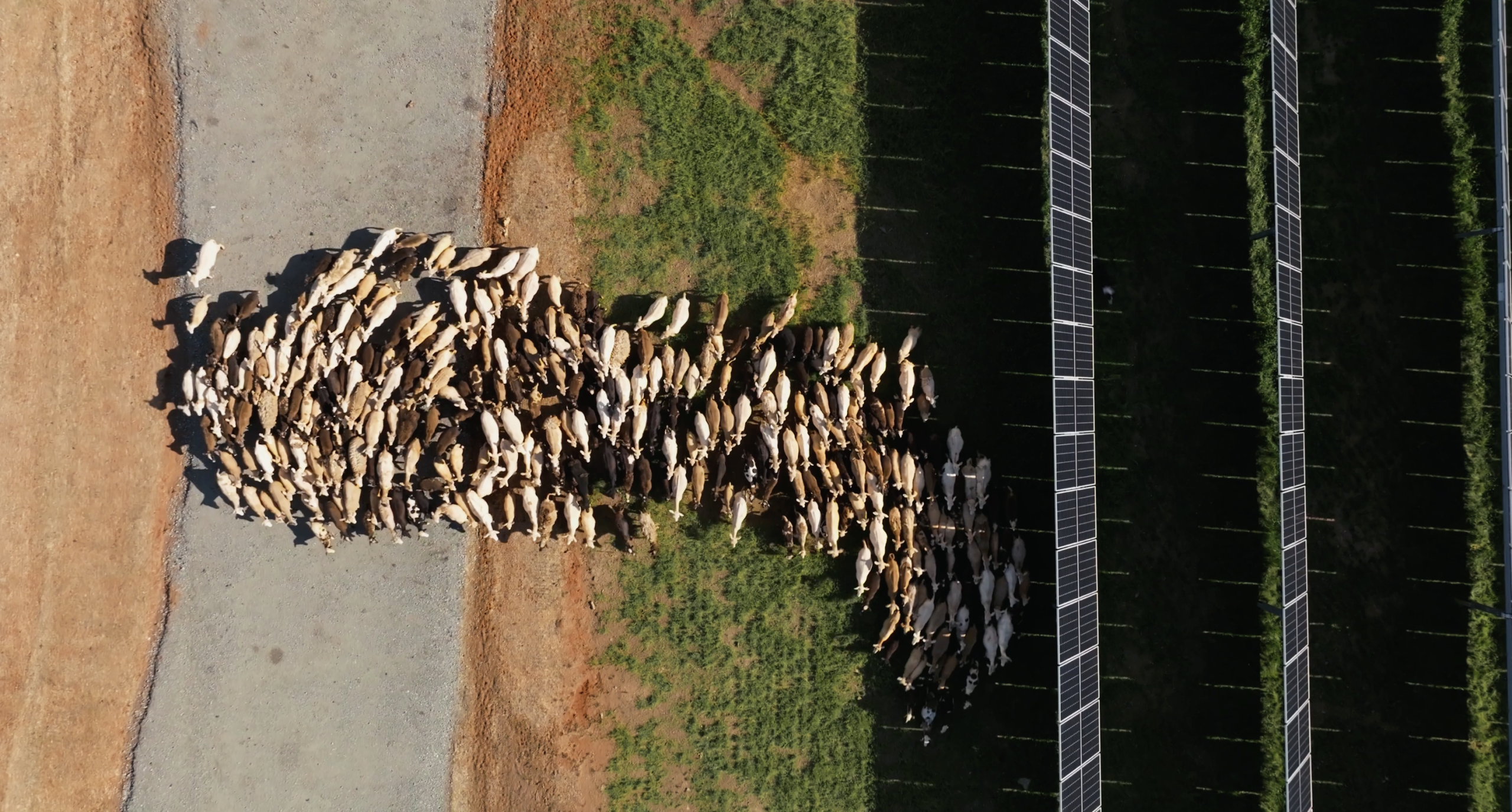 CleanShot 2026 04 21 at 14.07.37@2x scaled