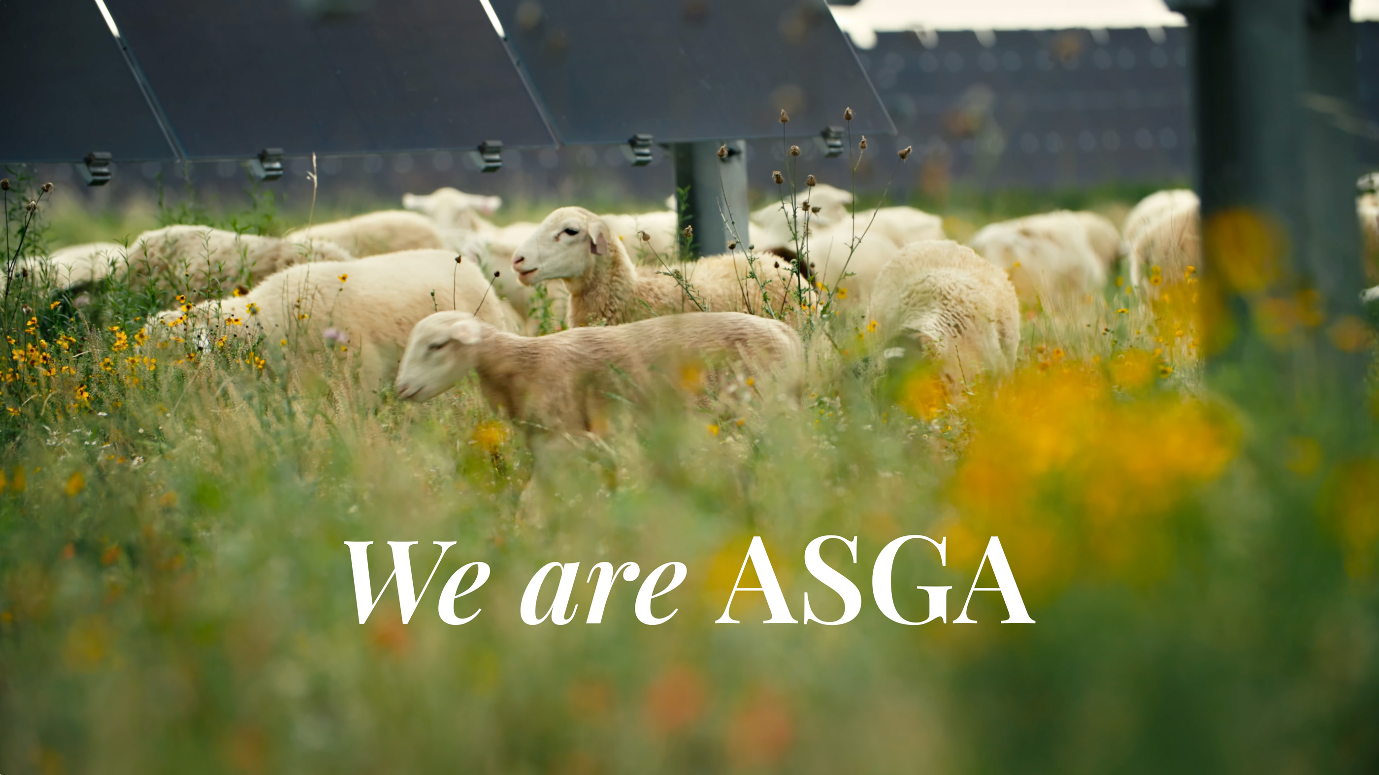 WeAreASGA covershot
