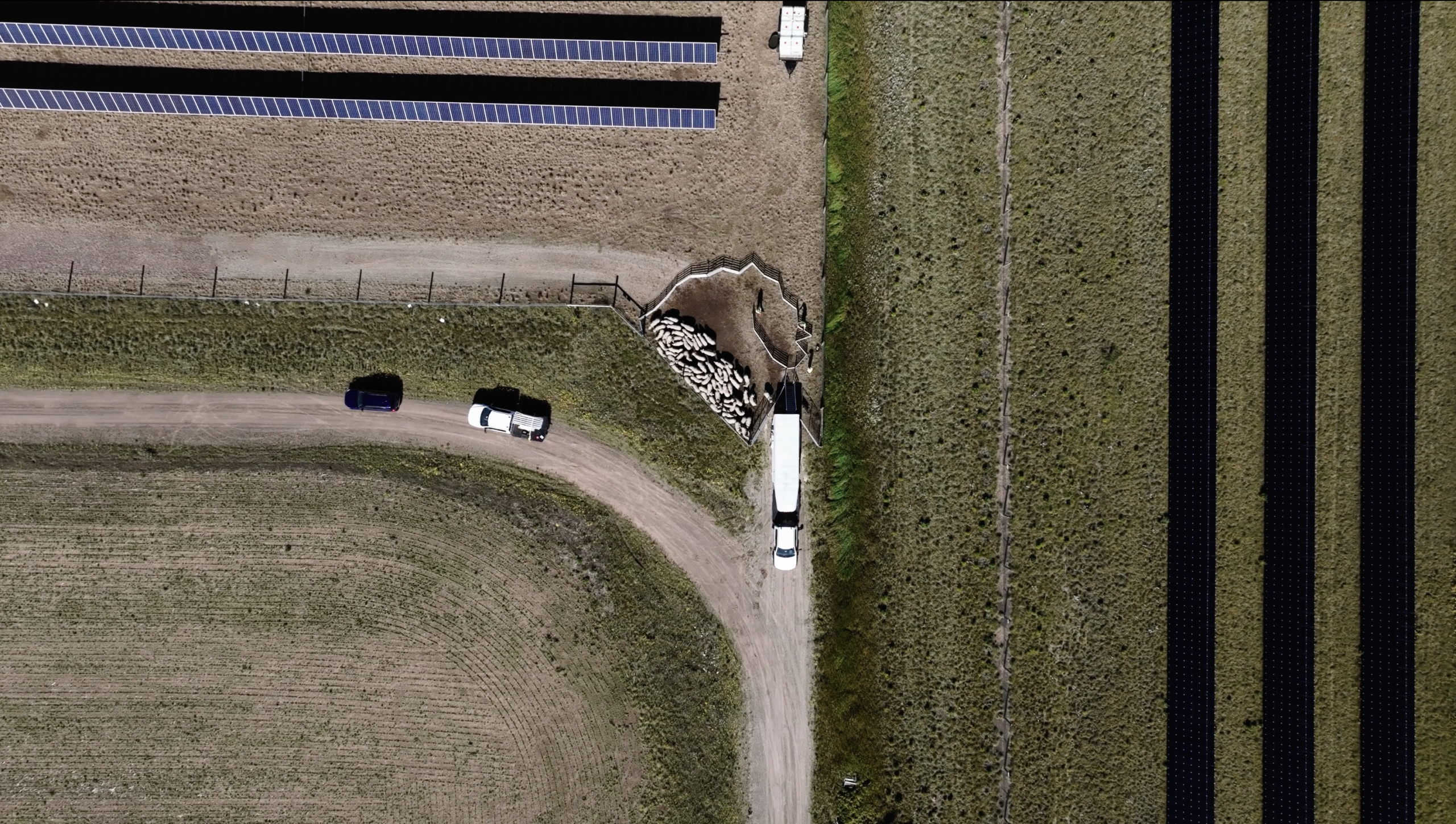 Stewards of the Land Overhead 2 scaled