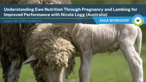 2026 01 Ewe Nuitrition
