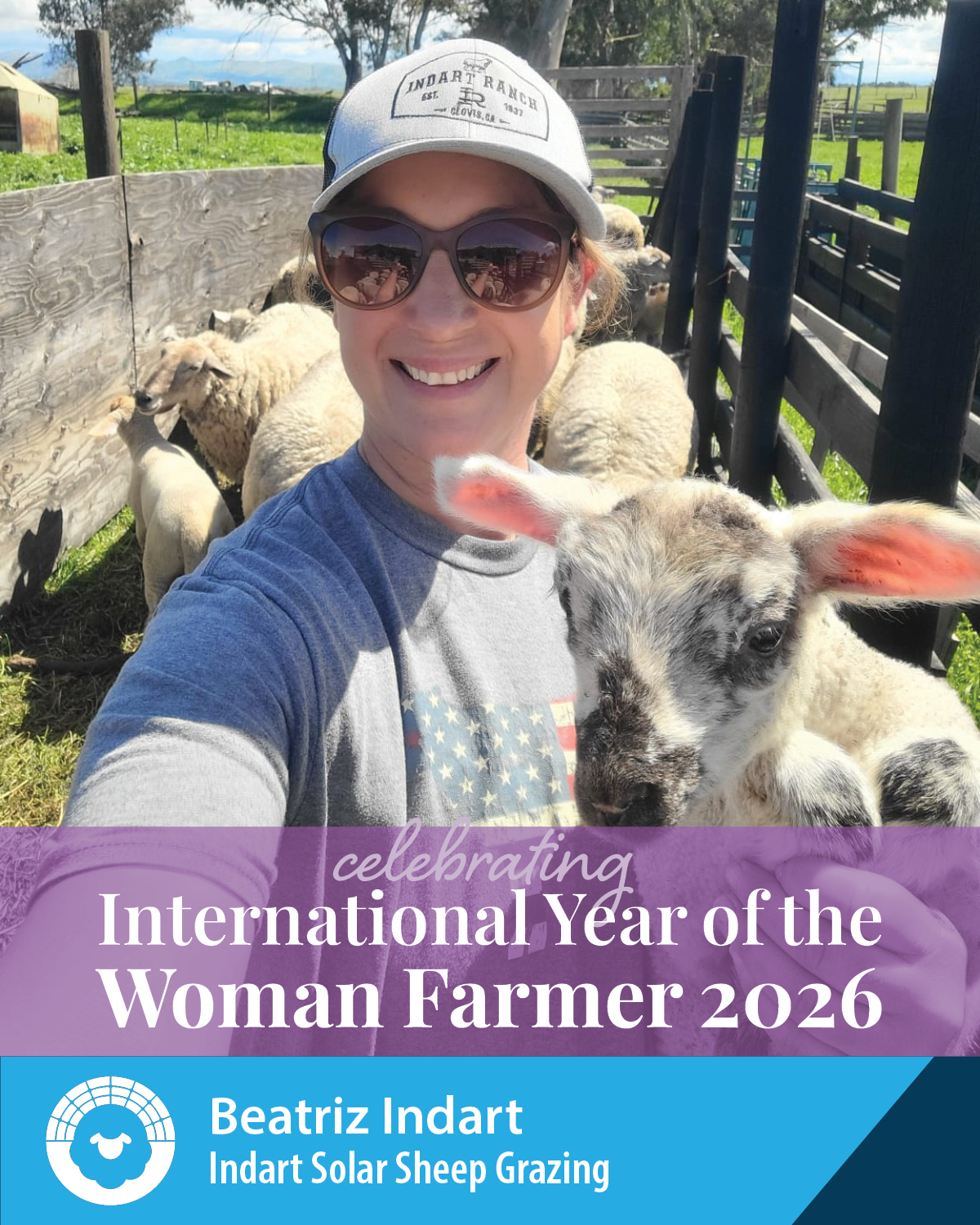 Beatriz Indart, Indart Solar Sheep Grazing – International Year of the Woman Farmer 2026