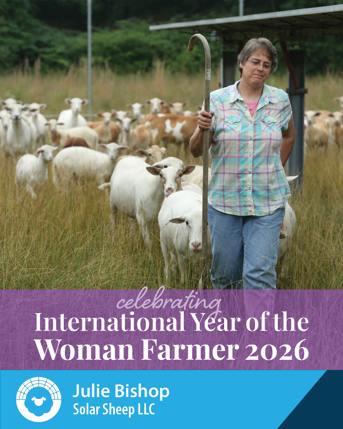Julie Bishop, Solar Sheep LLC – International Year of the Woman Farmer 2026