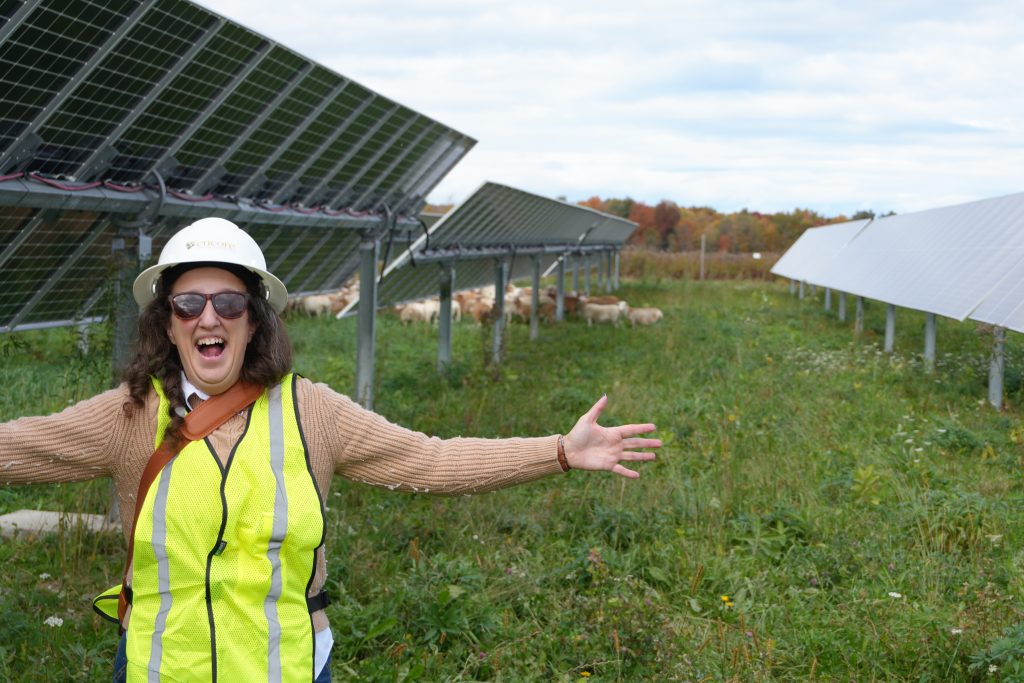 Solar Site Participants with sheep and panels DSC00265
